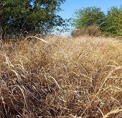 improving hunting property southern illinois