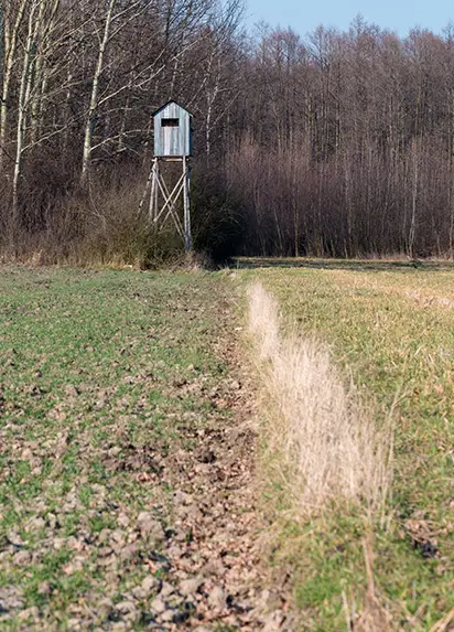 on-site habitat consultation southern il