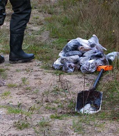 soil fertility and testing southern illinois