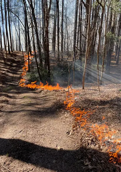 firebreak trails southern illinois